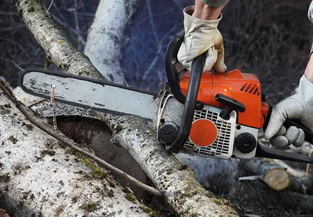 Chain-Saw-untuk-memotong-batang-kayu-pohon
